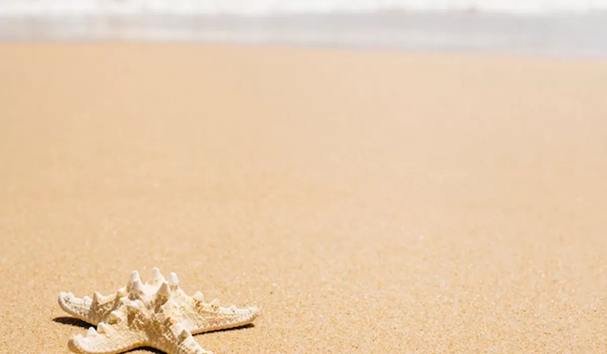 Chiusura Settimana Ferragosto 