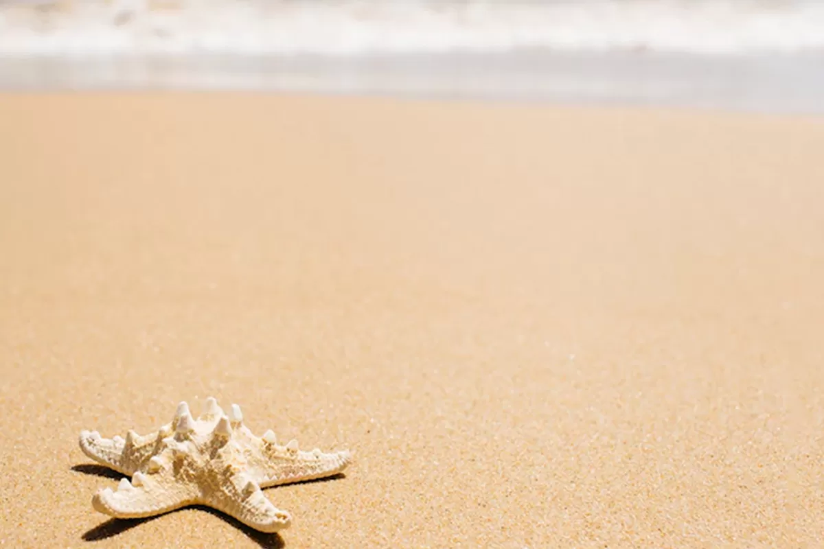 Chiusura Settimana Ferragosto 