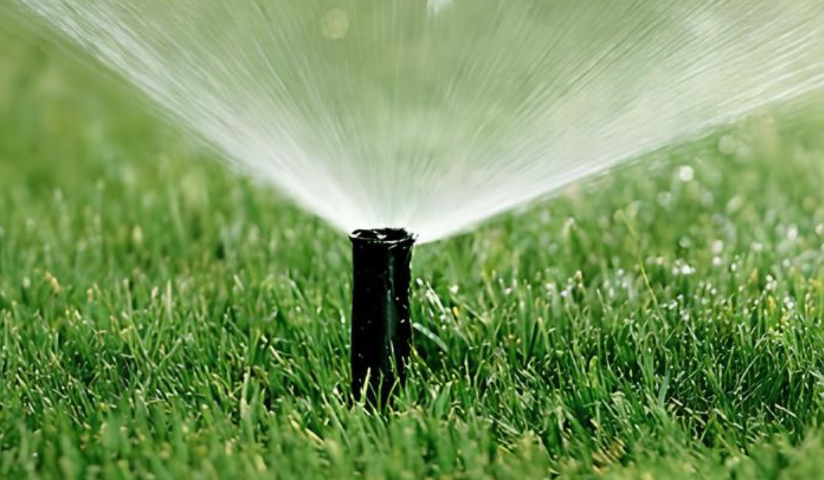 Regole chiave per progettare un impianto di irrigazione