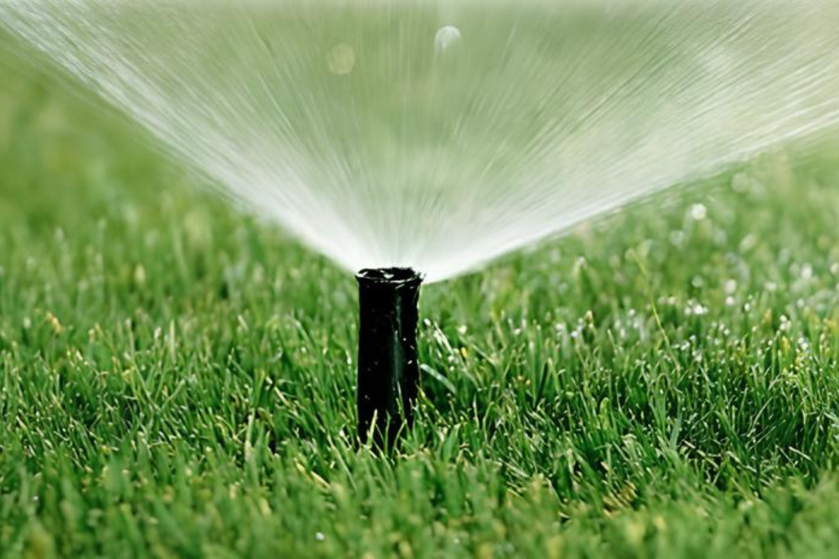 Regole chiave per progettare un impianto di irrigazione