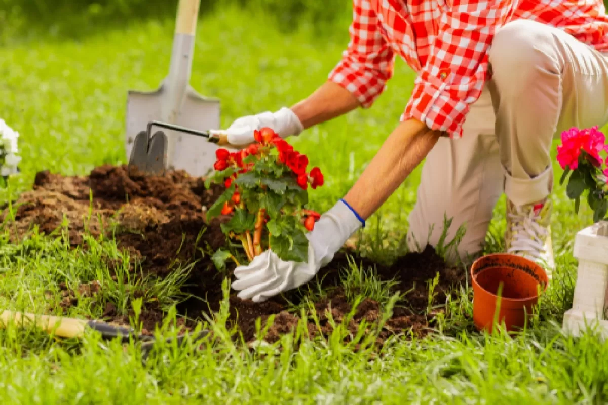 attrezzi per il giardinaggio fai da te