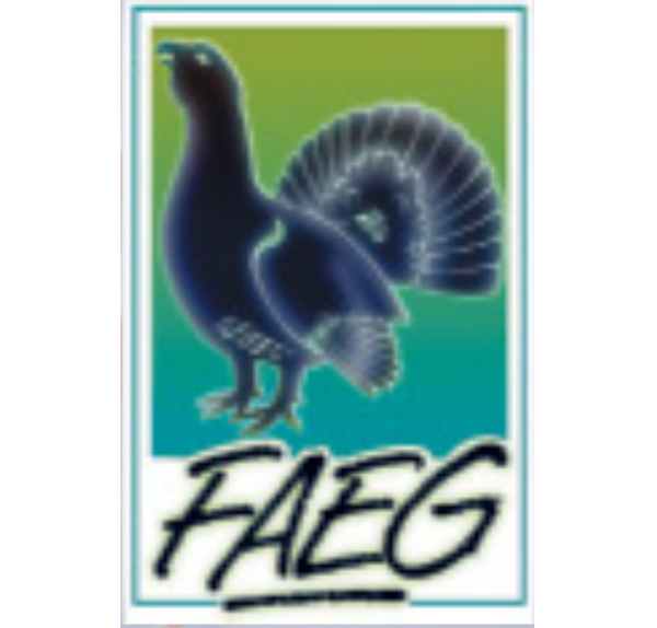 F.A.E.G.