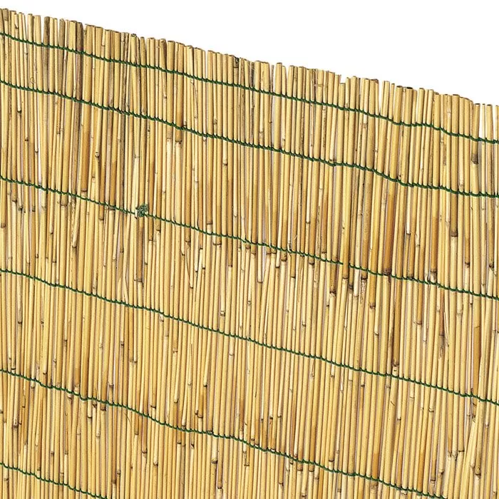 Arella bamboo tipo cina verdelook