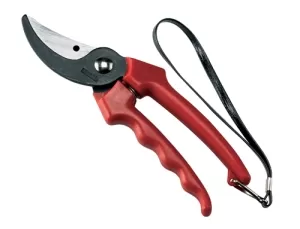 FORBICI VIGNA CON LACCETTO 31155 AUSONIA
