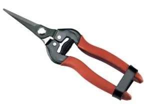 FORBICI COGLIFRUTTA ED ORTAGGI 31315 AUSONIA