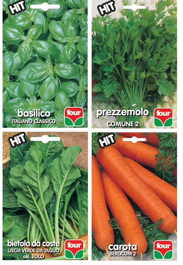 Sementi per orto four sementi