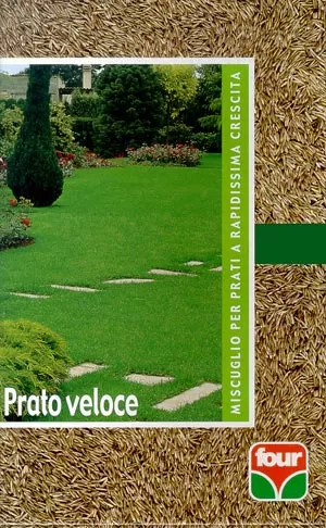 Prato veloce topgreen 6950 four sementi