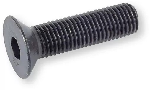 Vite testa svasata piana uni 5933 10k grezza