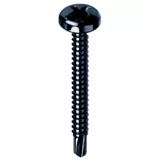 VITE AUTOFORANTE TESTA CILINDRICA UNI 8118 NERA