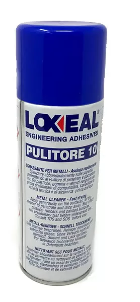 Pulitore 10 loxeal