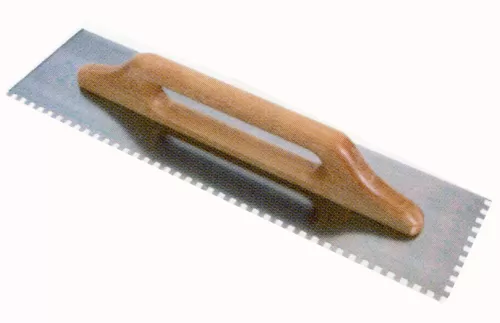 Spatola dentata raimondi 182