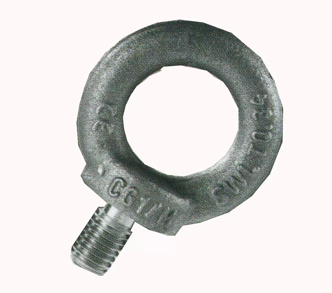 Golfaro maschio din 580 55 carcano