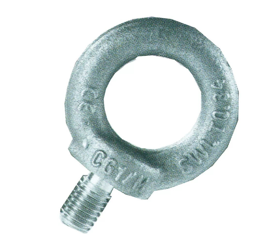 Golfaro maschio zincato din 580 55 carcano
