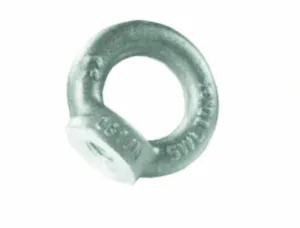GOLFARO FEMMINA ZINCATO DIN 582 56 CARCANO