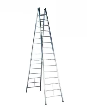 SCALA DOPPIA SALITA MASTER PRO MA FACAL