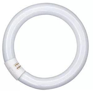 LAMPADA CIRCOLARE OSRAM L32W/840C L32840CN