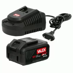 KIT BATTERIA E CARICABATTERIE VALEX 1997559