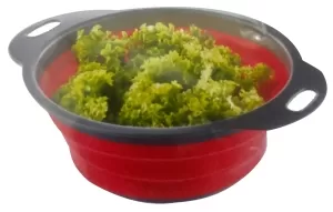 Centrifuga pieghevole per insalata, verde