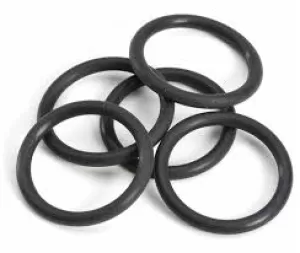 GUARNIZIONE TIPO O-RING