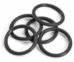 Guarnizione tipo o-ring